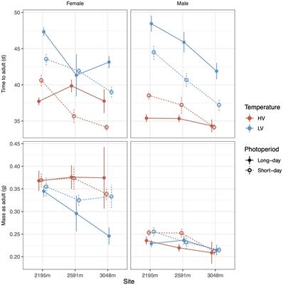 High-Elevation Populations of Montane Grasshoppers Exhibit Greater Developmental Plasticity in Response to Seasonal Cues